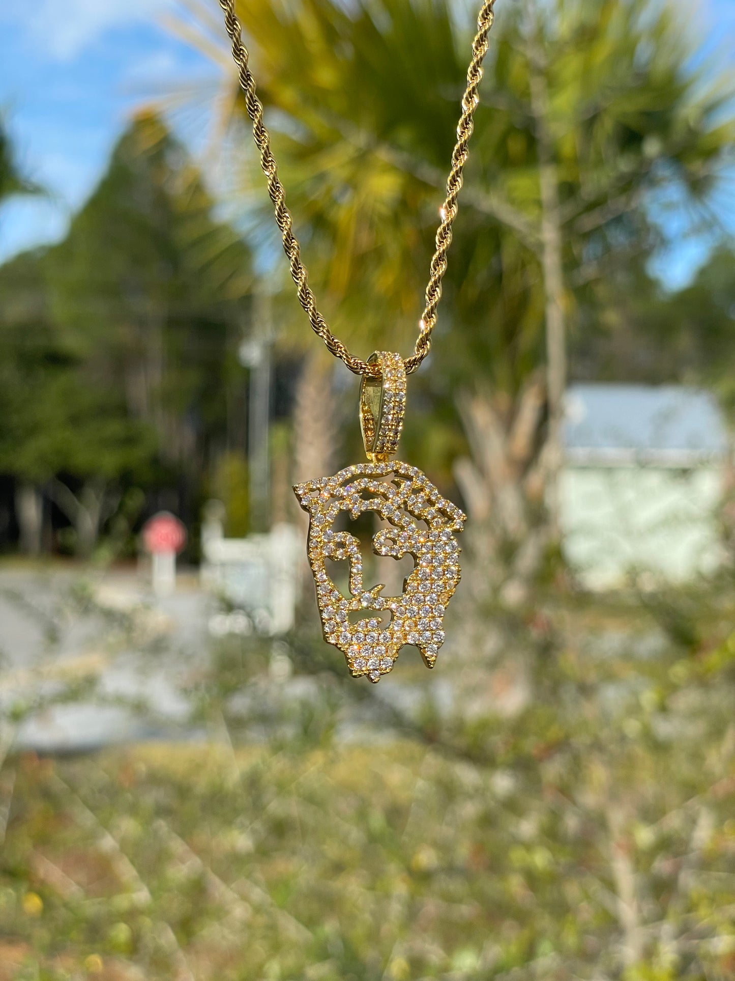 Carved face Jesus & rope chain ( cz stone)